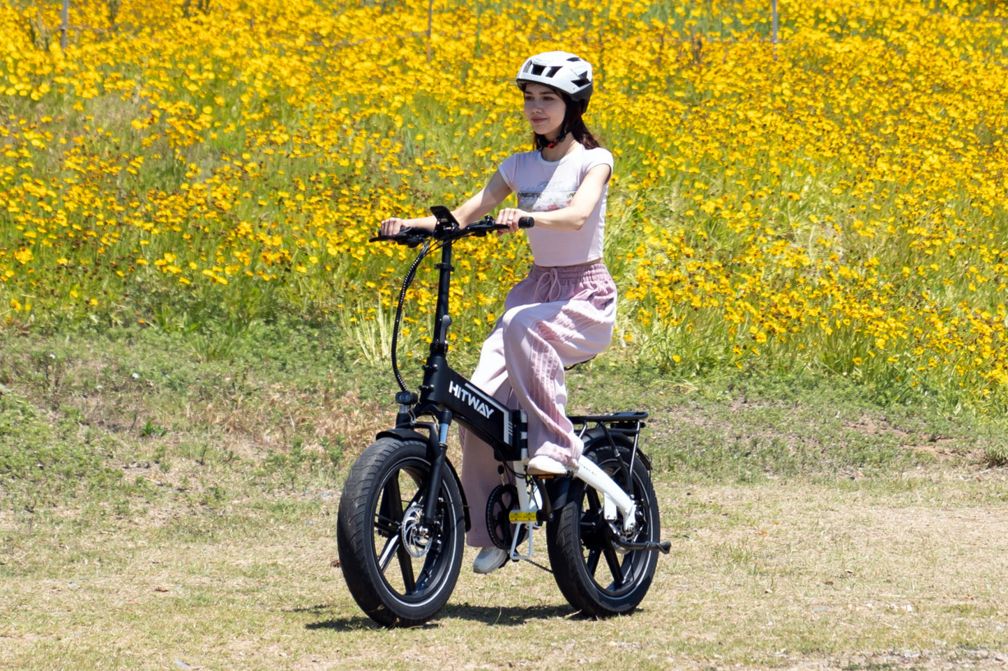 BK10S Folding Electric Bike