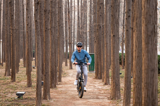 Here's What You Should Know About Folding Electric Bikes.