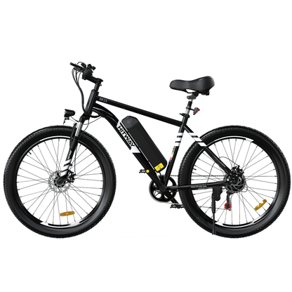 Bicicleta eléctrica con neumáticos gruesos BK15 3.0