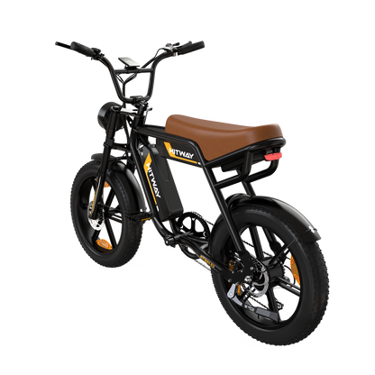 Bicicletta elettrica a doppia batteria BK29S