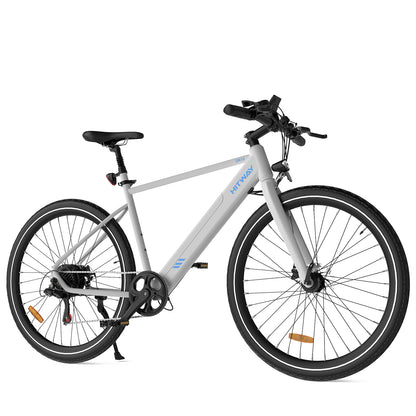 BK19 Straßen-Elektrofahrrad