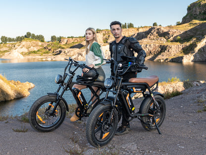 BK29S Dual Battery Electric Bicycle