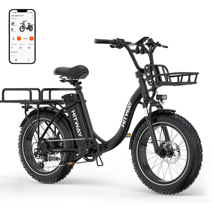 BK6S Plus Cargo-Elektrofahrrad