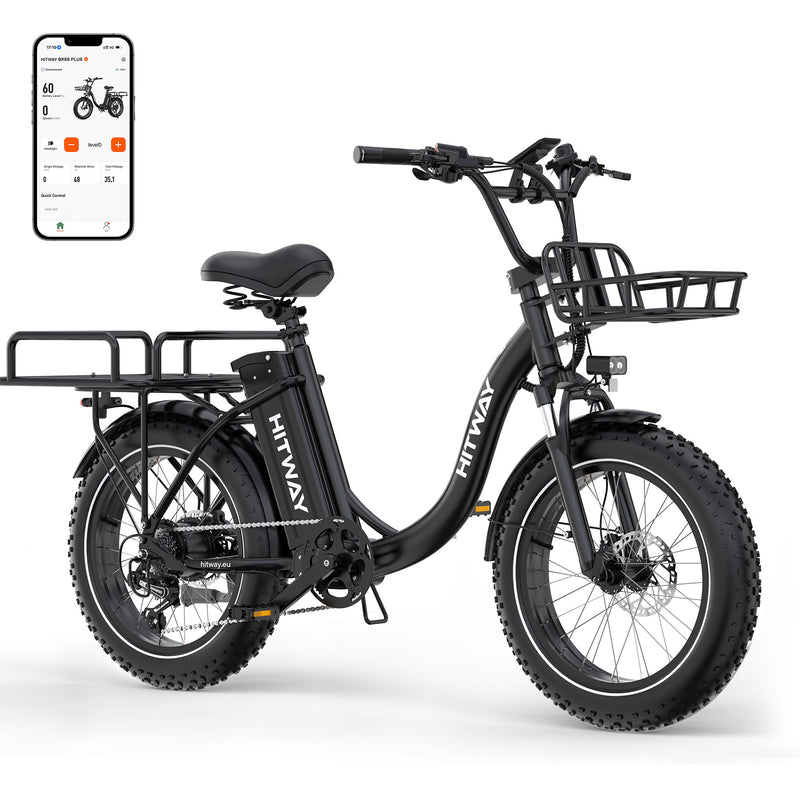 Vélo électrique cargo BK6S Plus