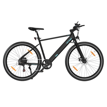 BK19 Straßen-Elektrofahrrad
