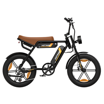 BK29S Dual Battery Electric Bicycle