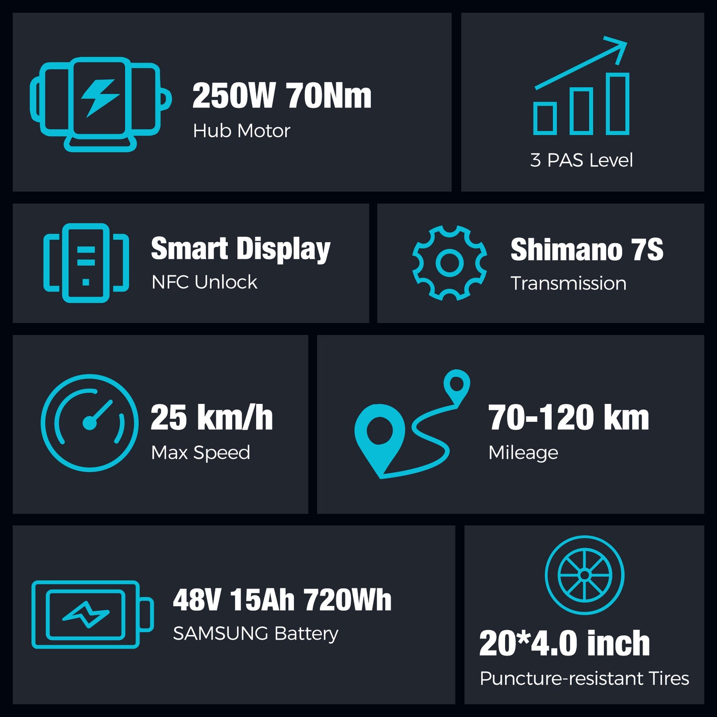 BK10S PRO Folding Electric Bike