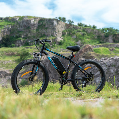 BK15 4.0 Fat Tire Bike électrique