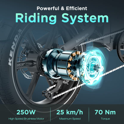 Bicicleta eléctrica con neumáticos gordos BK28