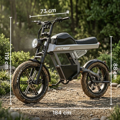 Bicicleta eléctrica con neumáticos gordos BK28
