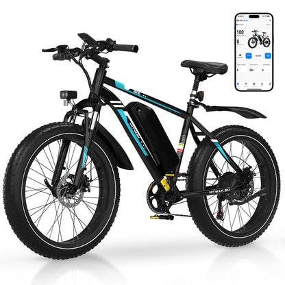BK15 4.0 Fat Tire Electric Bike