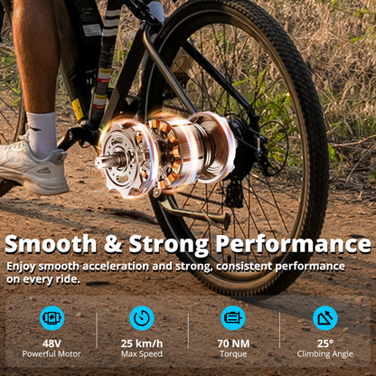 BK15 Plus 29 inch Electric Bike