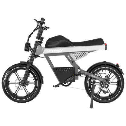 Bicicleta eléctrica con neumáticos gordos BK28