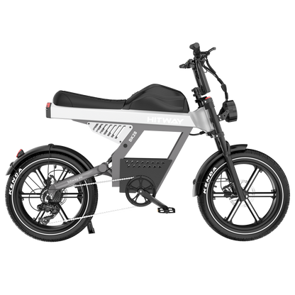 Bicicleta eléctrica con neumáticos gordos BK28