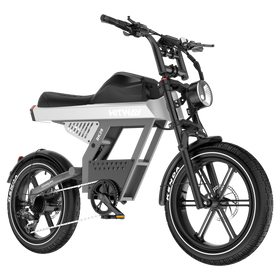 BK28 Fat Tyre Electric Bike