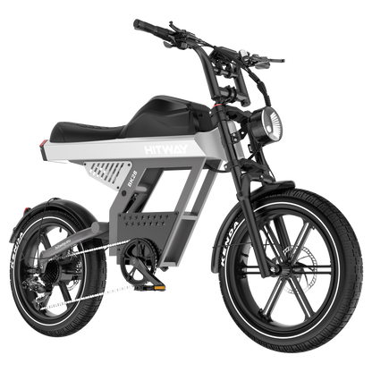 Bicicleta eléctrica con neumáticos gordos BK28