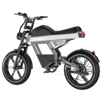 Bicicleta eléctrica con neumáticos gordos BK28