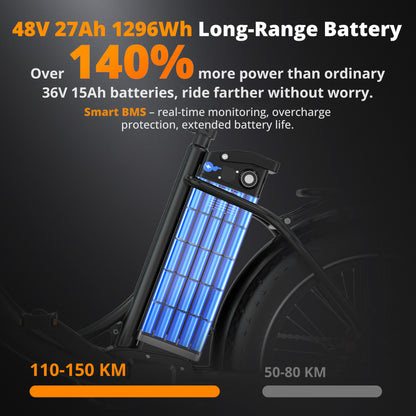 Vélo électrique cargo BK6S Plus
