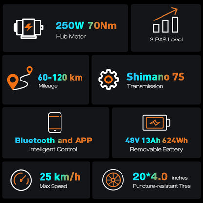 BK10S Folding Electric Bike