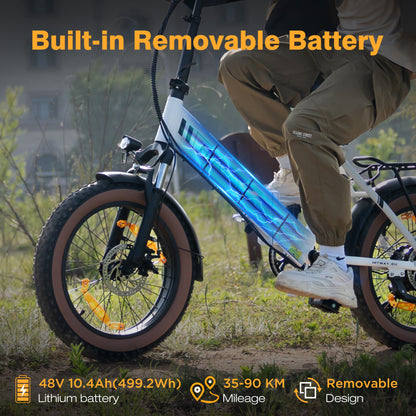 BK20 Folding Electric Bike