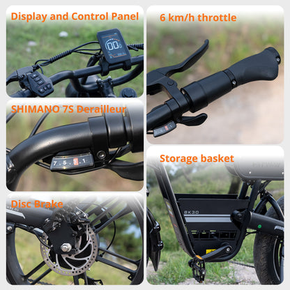 BK30 Fat Tire Elektrofahrrad