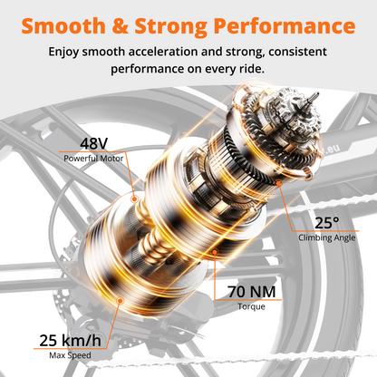 BK30 Fat Tire Elektrofahrrad