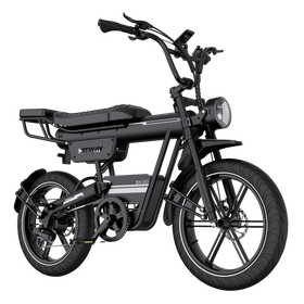 BK30 Fat Tyre Electric Bike
