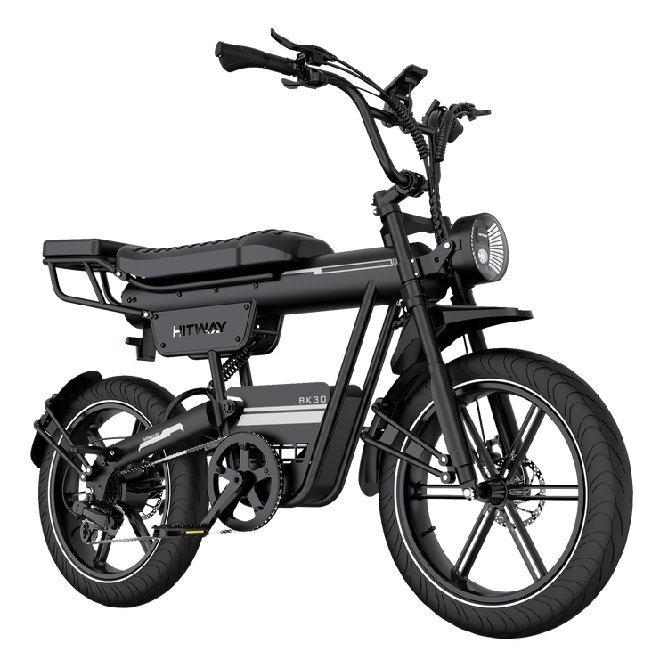 BK30 Fat Tire Elektrofahrrad