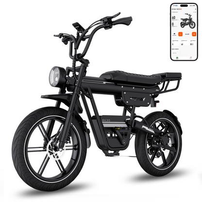 BK30 Fat Tire Elektrofahrrad