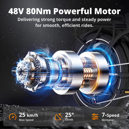 BK6S Plus Cargo Electric Bike