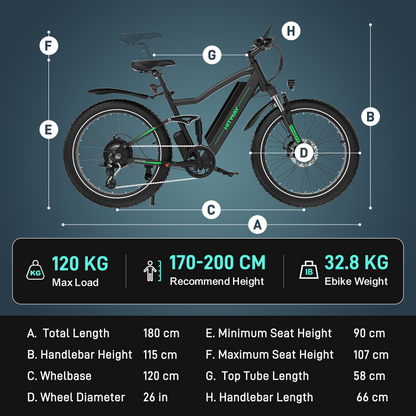 Bicicleta eléctrica BK9S