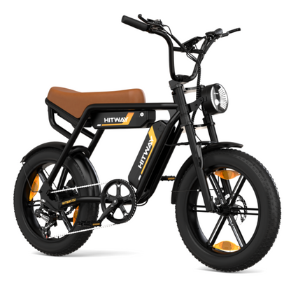 Bicicletta elettrica a doppia batteria BK29S