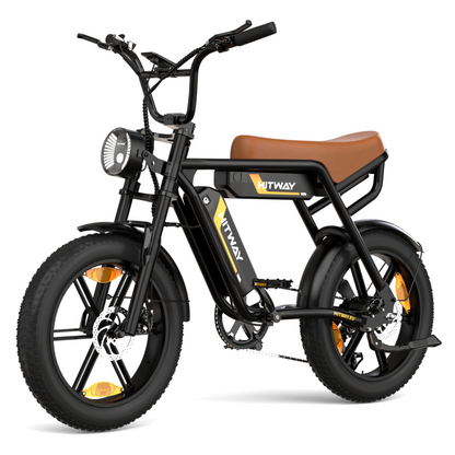 BK29S Dubbele batterij elektrische fiets