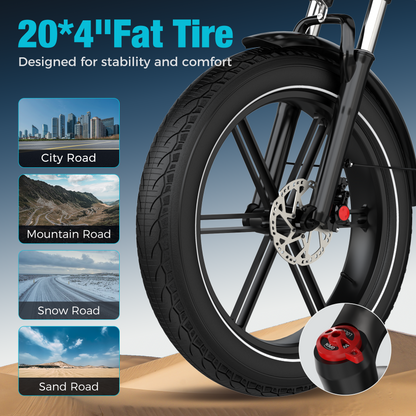 BK10S PRO Folding Electric Bike