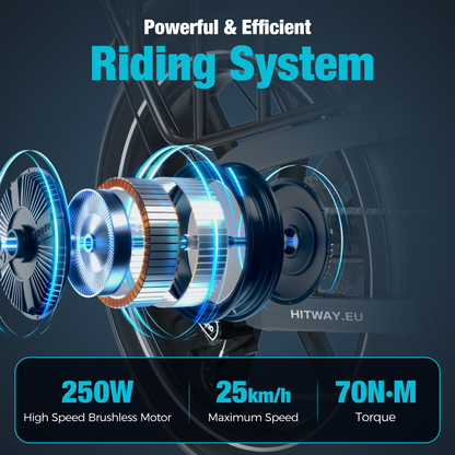 BK10S PRO Folding Electric Bike