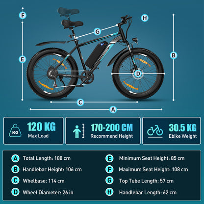 BK15 4.0 Fat Tire Bike électrique