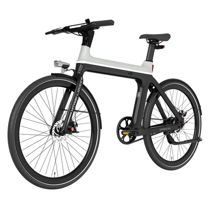 Ebike X
