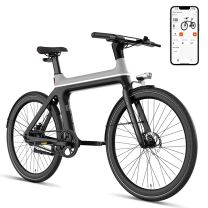Ebike X