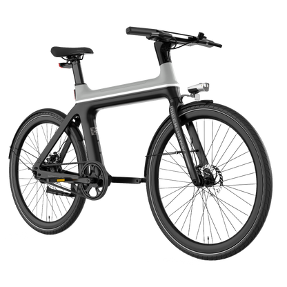 Ebike X