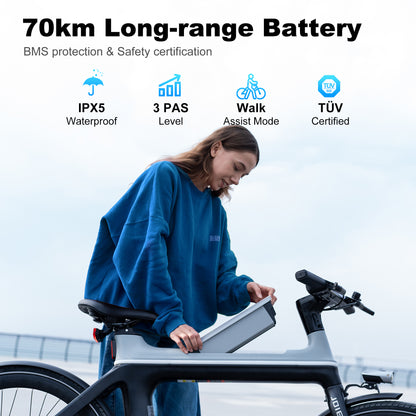 Ebike X