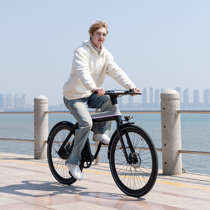 Ebike X
